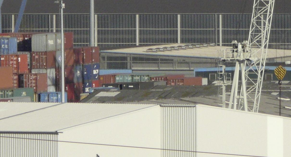 140101.027.am Rhein_32